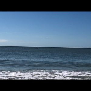 Meet your Posher, Erikka